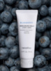 Балансуючий зволожуючий крем з екстрактом чорниці Innisfree Blueberry