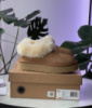 Зимові жіночі уггі Ugg Coquette Platform (36-41)