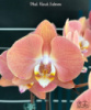 Phal Harck Salmon 1.7 (мох)