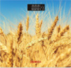 Весы напольные электронные Ardesto Wheat SCB-965-Wheat 150 кг