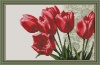 Червоні тюльпани