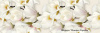 Декор Cersanit NAOMI inserto flower 20x60
