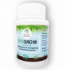 Biogrow - Биоактиватор для стимулирования роста всех видов растений (БиоГроу) ГРАНУЛЛИРОВАНЫЙ