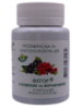 Фітор з бузиною та журавлиною противірусний засіб 60 капсул Фіторія
