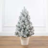 Лапландська засніжена 70 см маленька ялинка лита в горщику Сіга Груп