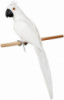 Декоративная игрушка «Попугай» 50см, белый