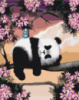 Картина за номерами «Сонна панда» 40х50см