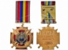 Медаль «Оперативно-тактичне угрупування. Маріуполь»