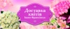 Доставка квітів Івано-Франківськ Доставка квітів Івано-Франківськ