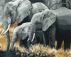 Картина за номерами «Сім'я слонів» 40х50см