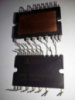 PS219B2-CST