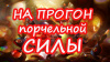 НА ПРОГОН ПОРЧЕЛЬНОЙ СИЛЫ
