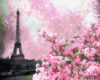 Картина за номерами «Цветіння сакури у Парижі» 40х50см