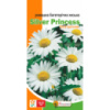 Ромашка садова низькоросла Сільвер Принцес 0.2 г