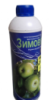 Зимовіт