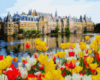 Картина за номерами «Дворец в тюльпанах» 40х50см