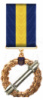 New Медаль «За бойові досягнення»