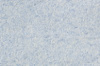 Рідкі шпалери  Оптима 057 блакитні