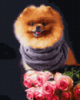 Картина за номерами «Собачка у квітах» 40х50см