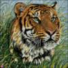 Схема для вышивки А3 «Портрет тигра в траве»