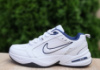 Чоловічі кросівки Nike Air Monarch (41-46)