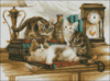 Котята на книжках