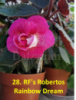 28. RF's Robertos Rainbow Dream