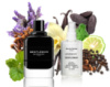Givenchy Gentleman - Parfum Analogue 110ml