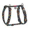Шлея для собак анатомічна H-подібна WAUDOG Nylon з QR-паспортом, малюнок «Апельсини», пластиковий фастекс, M, Ш 20 мм, A 38-60 см, B 46-60 см