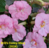 0-275 BriD's Danny-Mary НОВИНКА