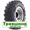 480/65 R24 Ascenso TDR 650 140D Сільгосп шина