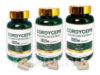 Кордицепс (Cordyceps)1000 мг – імуномодулятор, енергія, захист легенів і нирок