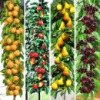 Кладовая Дачника Кладовая Дачника