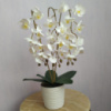 Штучна латексна тайська міні орхідея в білому пластику кашпо на три гілки біла