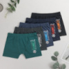 Дитячі труси боксери для хлопчика Nicoletta  8-9, 10-11, 12-13 років 5 шт.