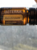 Бессмертник  / HELICHRYSUM /, эфирное масло DoTerra , 5 мл