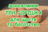 Замовляння «ТРИ ГОРІШКА» для Щастя та Багатства