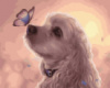 Картина за номерами «Собачка з метеликом на носі» 40х50см