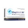 MagMax B6 (50 tabs)