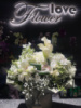 Квіти купити, замовити, доставка на Подолі від ⭐ Flower Love ⭐