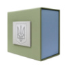 Коробка для годинника Boxes зелено-блакитна з срібним тризубом (1000-0386)