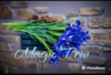Купити Букет Сині іриси 21 шт, на Ⓜ️ Оболоні, замовити квіти доставку по Києву ♥️ Від Magic Trio.