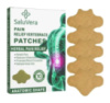 Пластир Pain Relief Patches для зняття болю в спині, уп 10 шт .PS600
