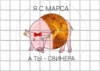 Цукрові картинки Хрюшка, Порося