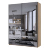 Шкаф купе Doros G-Caiser Дуб Эвок 2 Зеркала / 3 части 180х60х240 (DRS-011575)