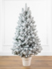 Лапландська засніжена 110 см маленька ялинка лита в горщику Сіга Груп