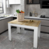 Стол в кухню Doros Флинт 120(170)х80х78 см Белый/Дуб артизан (DRS-011442)