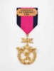 Медаль «Непереможні. Операція Об'єднаних Сил»