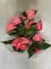 Антуріум рожевий 17*60, магазин квітів на подолі, букет квітів, замовити доставка