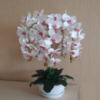 Штучна латексна орхідея преміум у білому керамічному кашпо на п'ять гілок біло-малинова